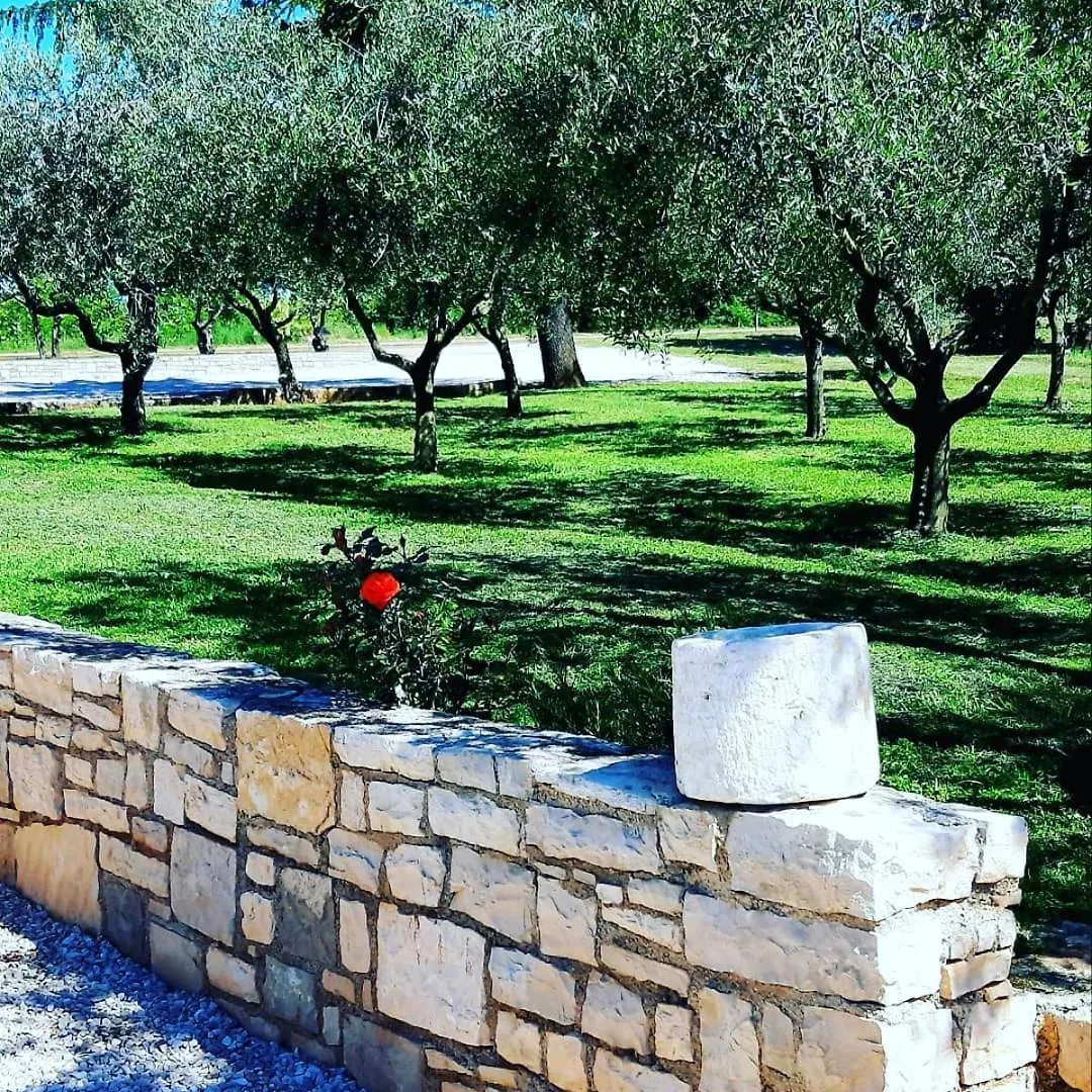 Apartment Relax & Wine Novigrad